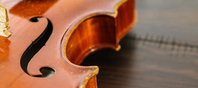 Violino